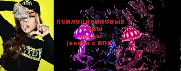 PSILOCYBIN Усинск