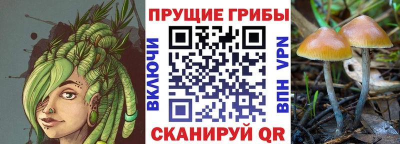 Галлюциногенные грибы ЛСД  blacksprut ССЫЛКА  Горбатов  дарнет шоп 